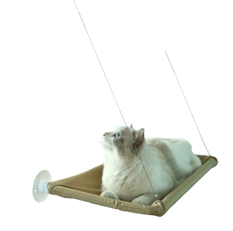Cat Window Hammock 1