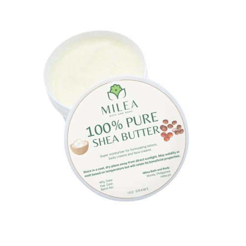 All Organics 100% Pure Refined Shea Butter 2