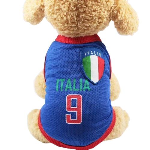 10 Best Cat Suits in the Philippines 2026 4