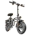 New Life Portable Folding Bike Ebike 1