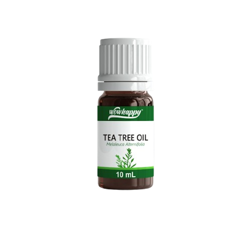 Tea Tree Aromatic Essential Oil 1