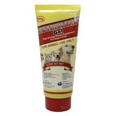 High-Energy Booster Gel