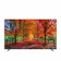 Haier H40K85EFX Google TV 1