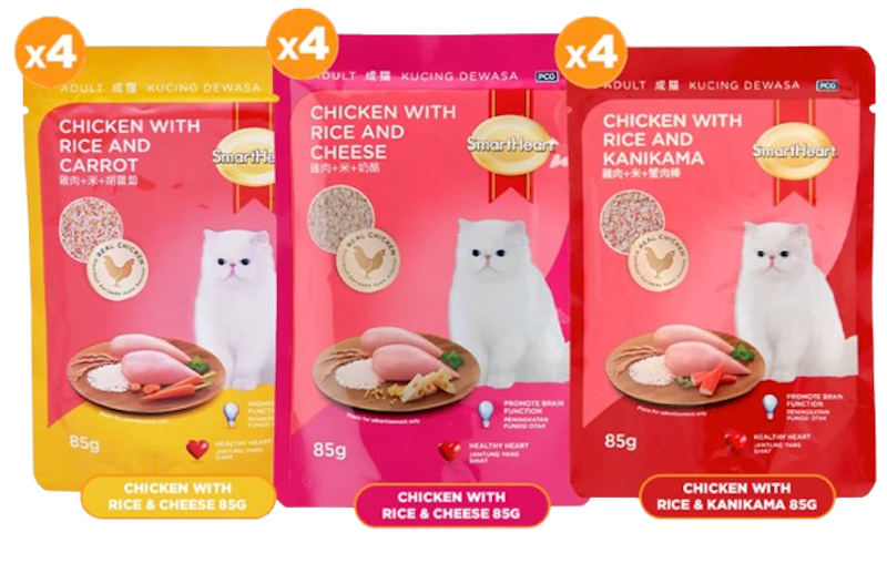 Adult Wet Cat Food 1