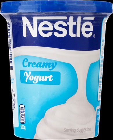 Natural Creamy Yogurt 2