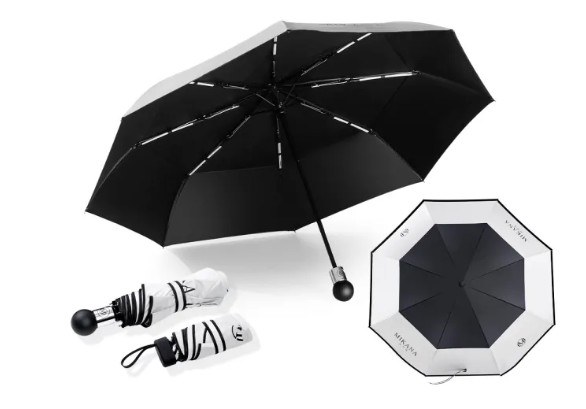 Automatic Umbrella 1