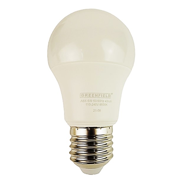 LED Bulb A55 E27 5W Daylight 1