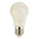 Greenfield LED Bulb A55 E27 5W Daylight 1