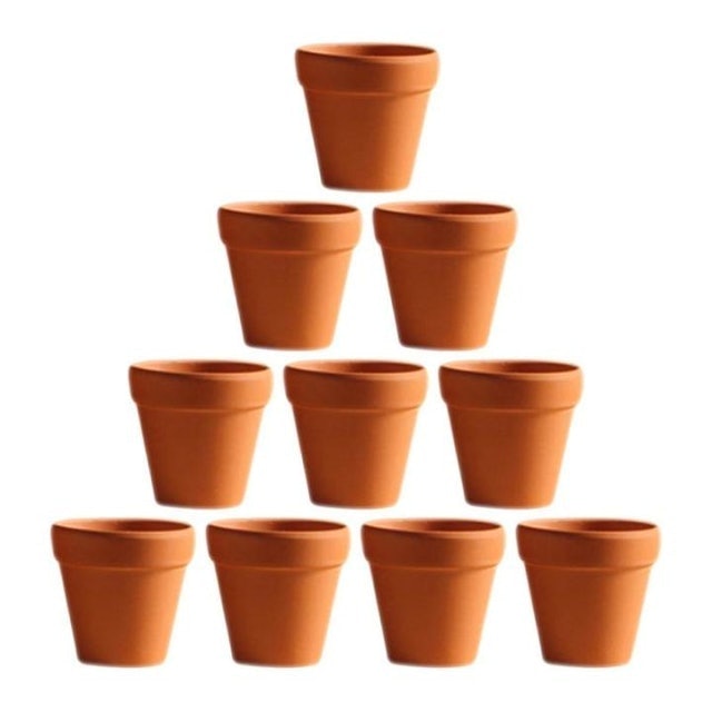 10 Best Succulent Pots in the Philippines 2026 1