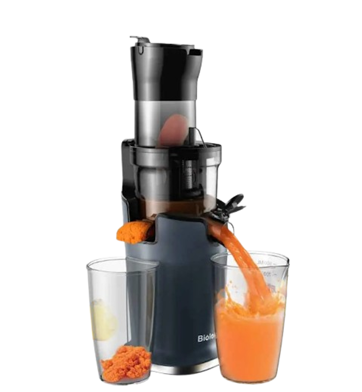 10 Best Slow Juicers in the Philippines 2025 Tough Mama