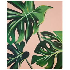Indoor Plant Leaves