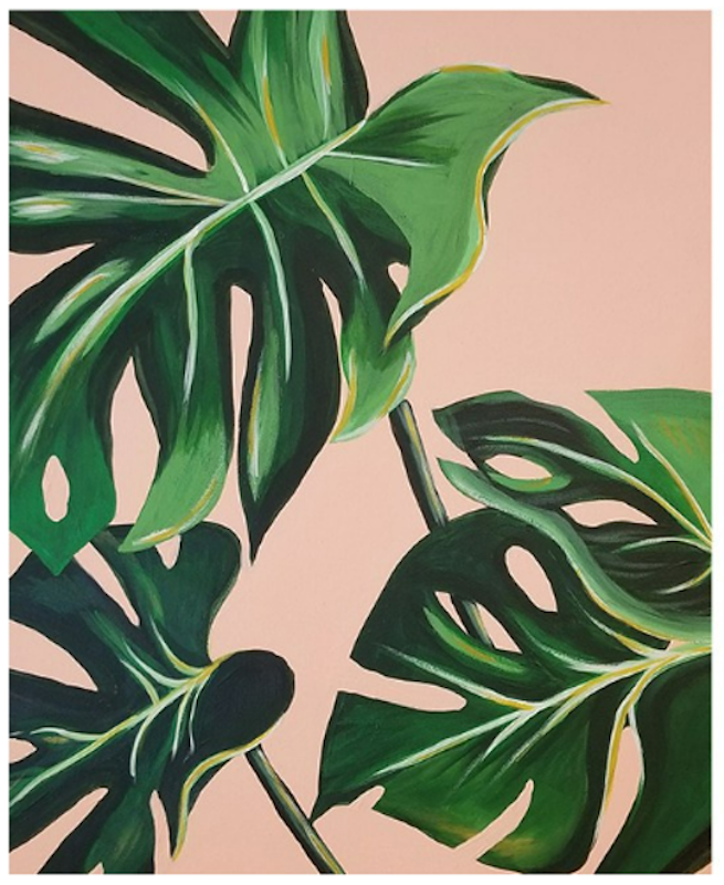 Indoor Plant Leaves 1