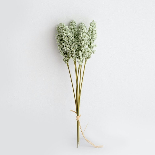 Artificial Vanilla Spike 5
