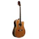 RJ Guitars Exotic Wood 1