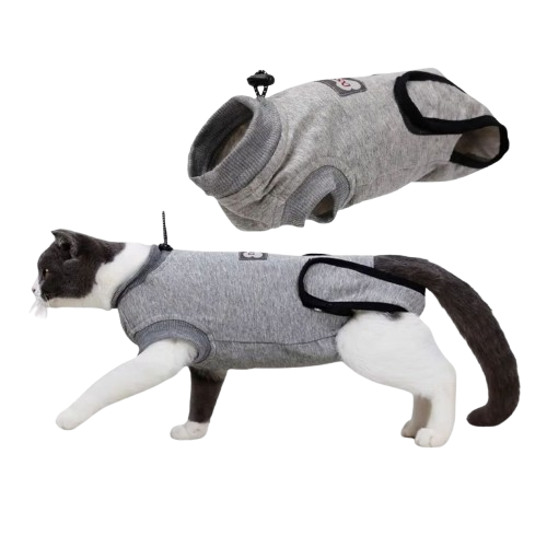 10 Best Cat Suits in the Philippines 2026 5