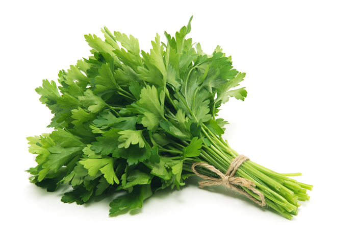 10 Best Indoor Herbs to Grow in the Philippines 2026 1
