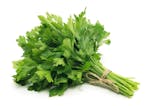 10 Best Indoor Herbs to Grow in the Philippines 2026 1