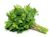 Italian Flat Parsley Seeds 1