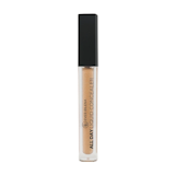 10 Best Local Concealers in the Philippines 2026 | issy, blk cosmetics, and More 5