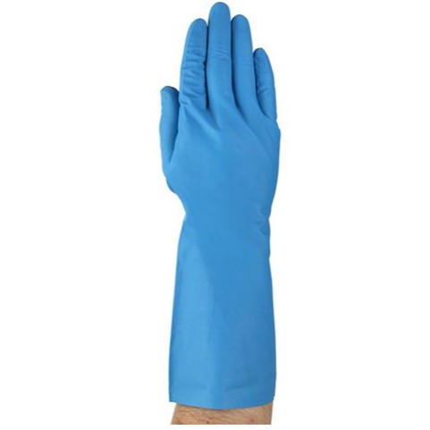 Nitrile Rubber Food Grade Gloves 1