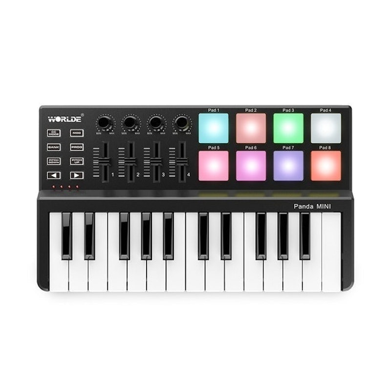 Panda MINI 25 1