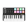 Worlde Panda MINI 25 1