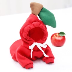 Pet Fruit Clothes