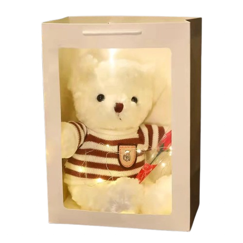 Birthday Gift Bear	 1