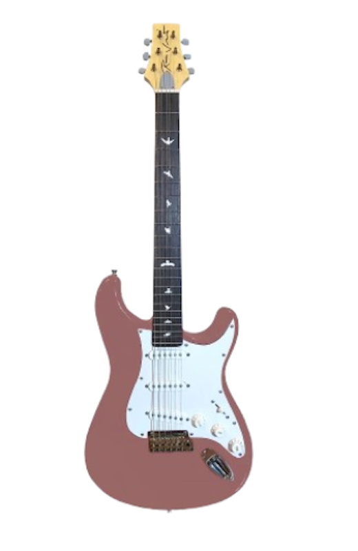 Vibecaster Electric Guitar 1