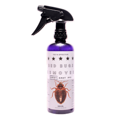 Bed Bug Killer