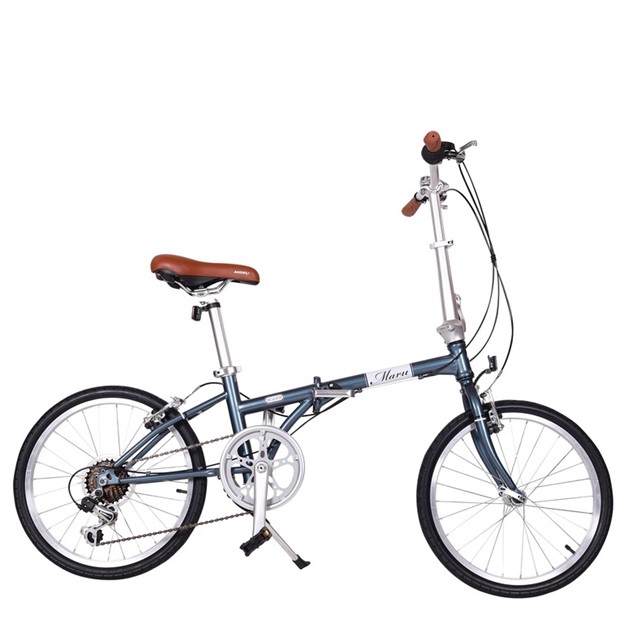 20" Hi-Ten Folding Bike	 2