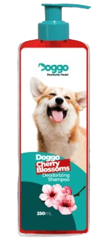 10 Best Dog Shampoos in the Philippines 2025 Buying Guide