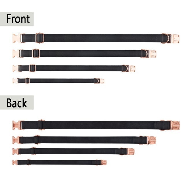 Stylish, Customizable Collar and Leash Set for Your Pup 2