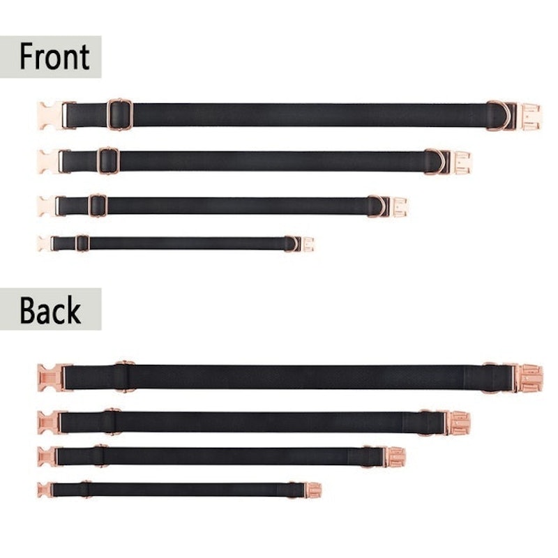 Stylish, Customizable Collar and Leash Set for Your Pup 2