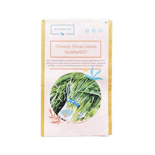 10 Best Indoor Herbs to Grow in the Philippines 2026 2