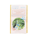 10 Best Indoor Herbs to Grow in the Philippines 2026 2