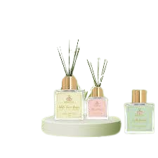 Reed Diffuser 1
