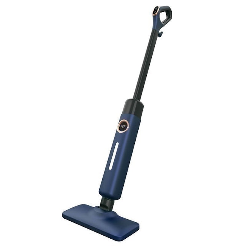 Steam Mop 1