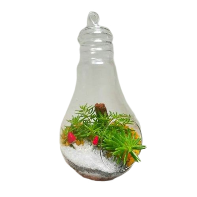 10 Best Succulent Pots in the Philippines 2026 5