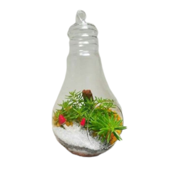 Hanging Teardrop Terrarium