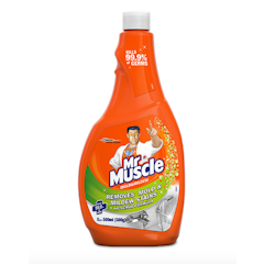 Mold & Mildew