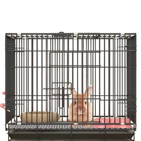 10 Best Rabbit Cages in the Philippines 2026 3