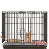 10 Best Rabbit Cages in the Philippines 2026 3