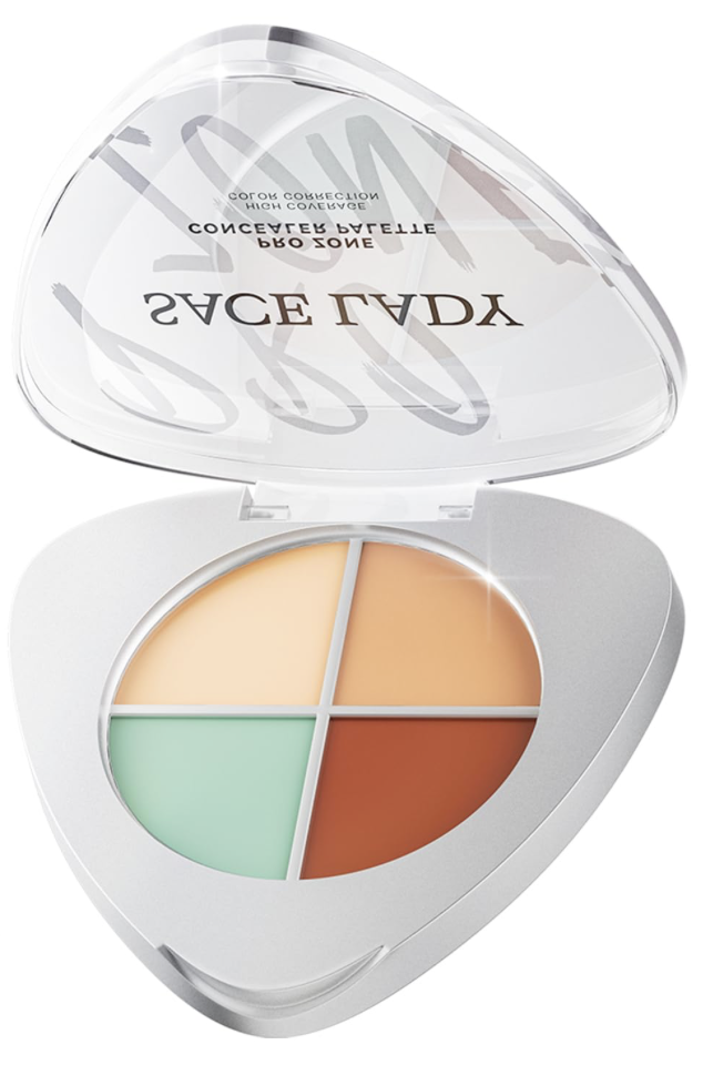 Pro Zone Concealer Palette 1