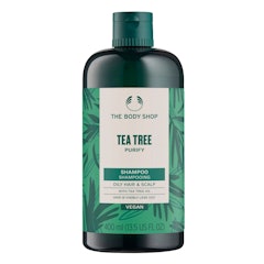 Tea Tree Purify Shampoo