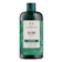 The Body Shop Tea Tree Purify Shampoo 1