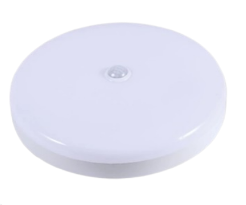 LED Ceiling Lamp 1