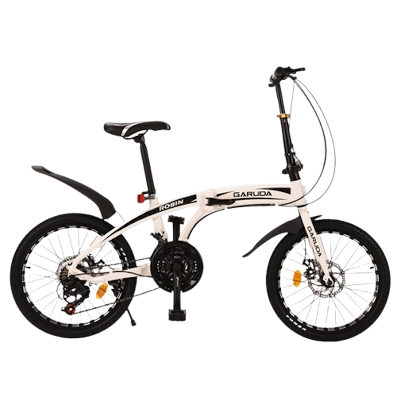 Robin High-Quality Folding Bike Alloy Frame 2