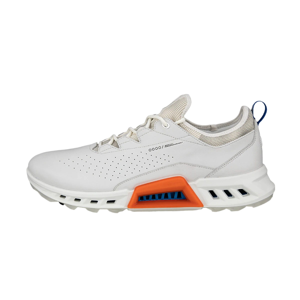 Biom C4 1