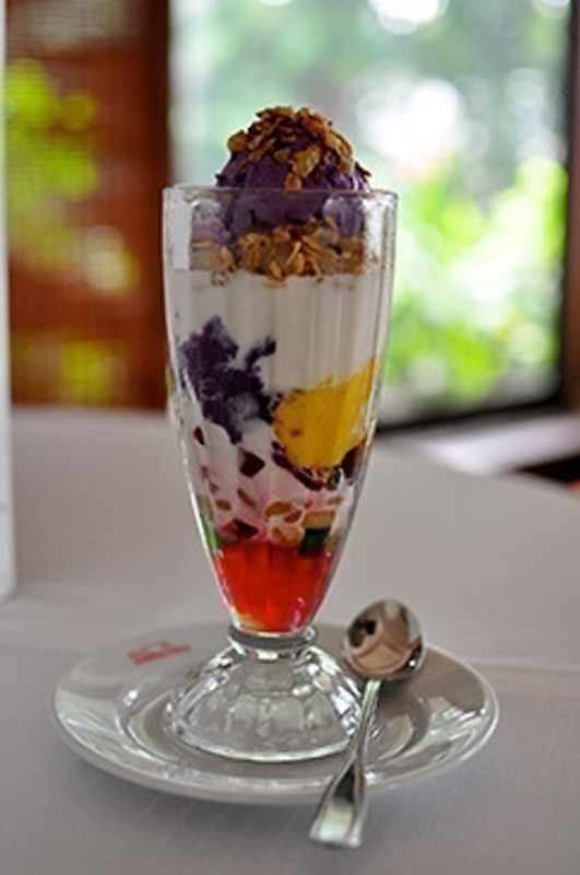 Milky Way Halo Halo 1